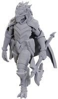 WK D&D - Dragonborn of Tiamat