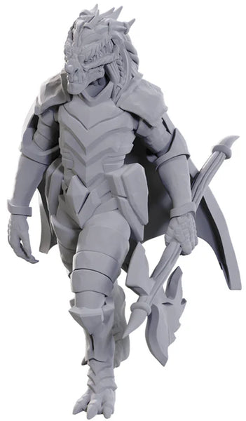 WK D&D - Dragonborn of Tiamat