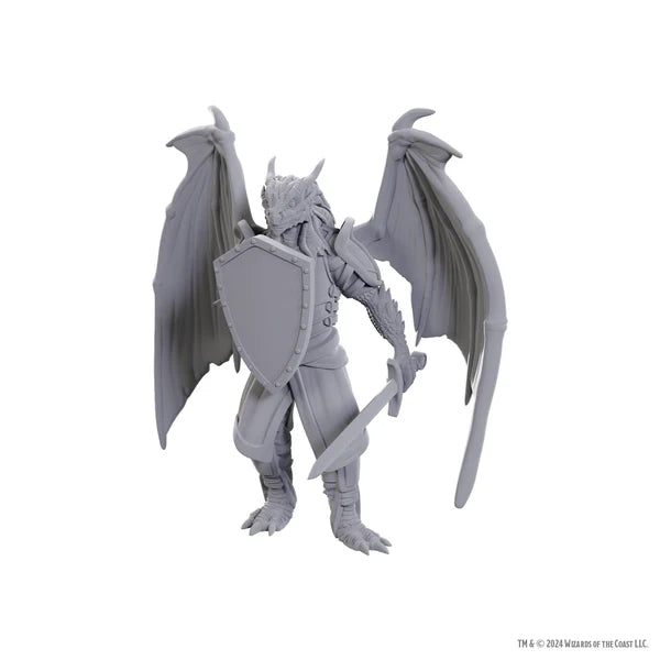 WK D&D - Dragonborn of Bahamut