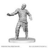 WK D&D - Swarm of Rot Grubs & Rot Grub Victim