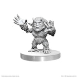 WK D&D - Yeti Tykes Wave 26