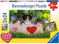 PZL 2x24pc Sleepy Kitten 07801