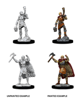 WK D&D - Human F Barbarian Wave 12