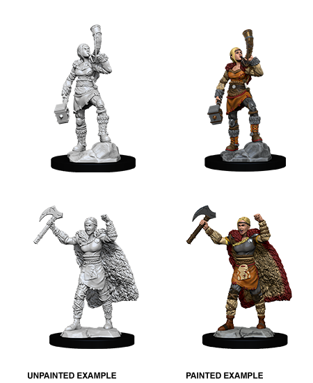 WK D&D - Human F Barbarian Wave 12