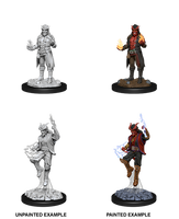 WK D&D - Tiefling M Sorcerer Wave 12