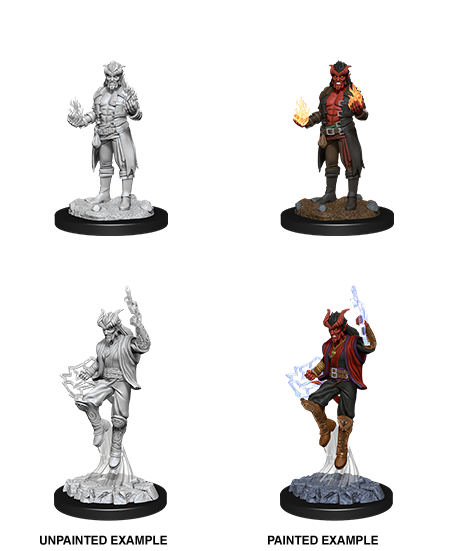 WK D&D - Tiefling M Sorcerer Wave 12