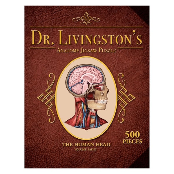 Dr. Livingston's Anatomy Puzzle: Human Head