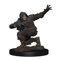 Wizkids Pathfinder Premium - Human Male Rogue