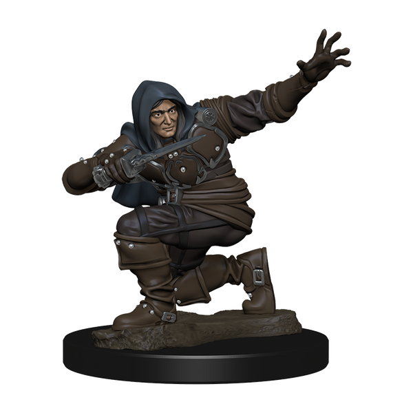 Wizkids Pathfinder Premium - Human Male Rogue