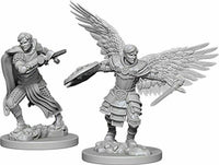 WK D&D - Aasimar M Fighter