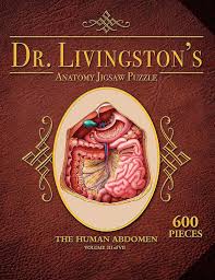 Dr. Livingston's Anatomy Puzzle: Human Abdomen