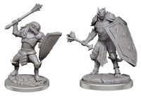 D&D Miniatures - Dragonborn Clerics Wave 18