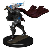 Wizkids Pathfinder Premium - Elf Female Champion