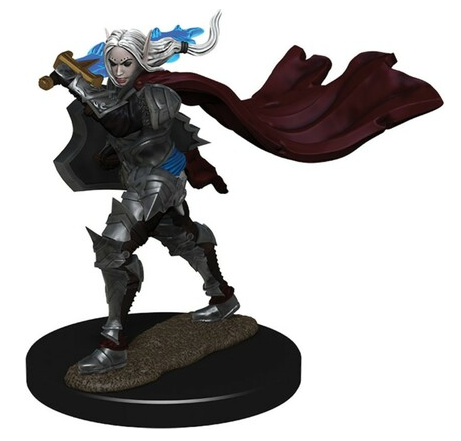 Wizkids Pathfinder Premium - Elf Female Champion