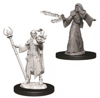 WK D&D - Elf M Wizard