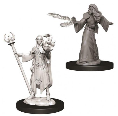 WK D&D - Elf M Wizard