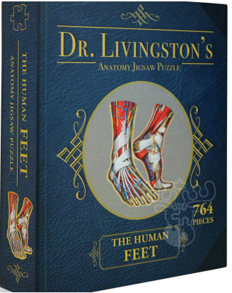 Dr Livingston's Anatomy Jigsaw Puzzle The Human Feet 764 Pieces