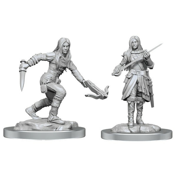 WK D&D - Half-Elf Rogue Female Wave 17