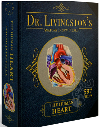 Dr Livingston's Anatomy Jigsaw Puzzle The Human Heart 597 Pieces