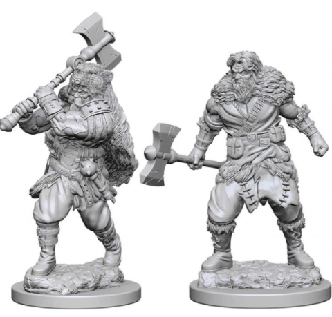 WK D&D - Human M Barbarian