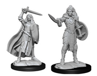 Wizkids Pathfinder - Human Female Champion Wave 14