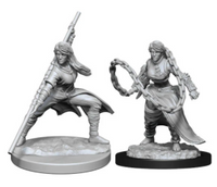 WizKids D&D - Human Female Monk Wave 14