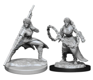 WizKids D&D - Human Female Monk Wave 14