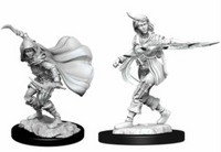 Wizkids Pathfinder - Human Female Rogue Wave 14