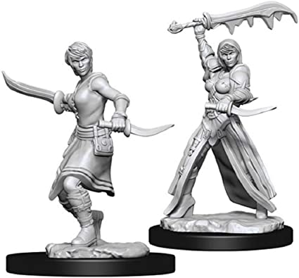 WK D&D - Human F Rogue
