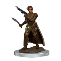 D&D Icons of the Realms: Shifter Rogue