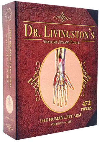 Dr. Livingston's Anatomy Puzzle: Left Arm