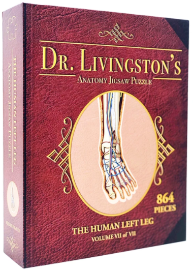 Dr. Livingston's Anatomy Puzzle: Left Leg