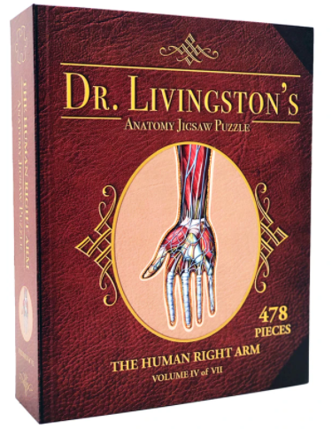 Dr. Livingston's Anatomy Puzzle: Right Arm