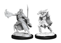 WizKids D&D - Winter Eladrin & Spring Eladrin Wave 15