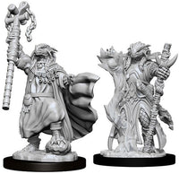WK D&D - Dragonborn F Sorcerer